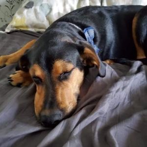 Meet your Posher, Niki